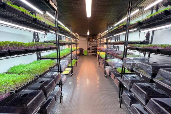 Mobile Grow Room - Image 4