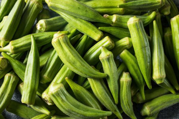Cow's Horn Okra Starter | Small
