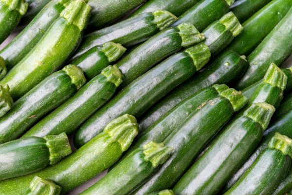 Zucchini Starter | Small