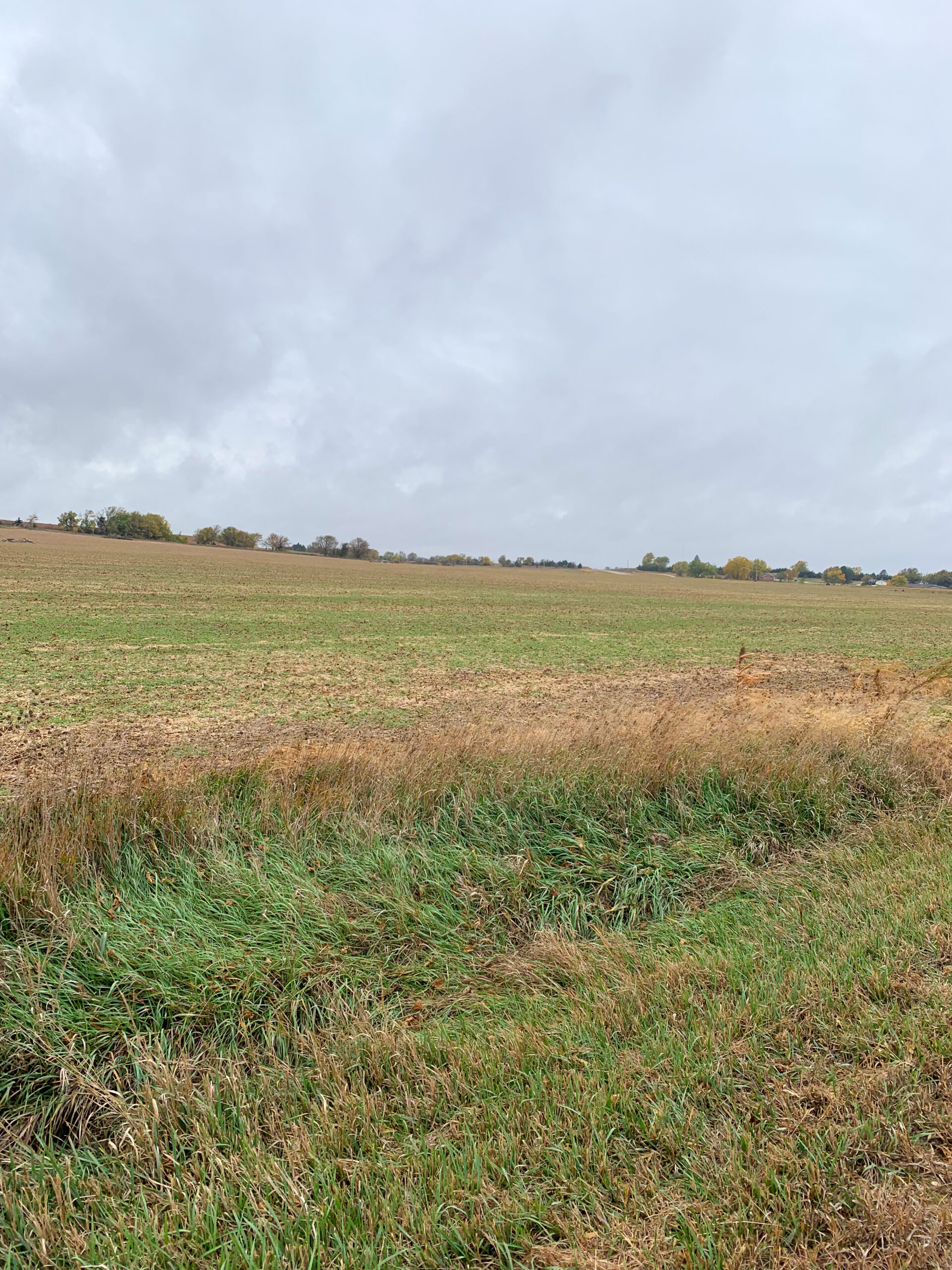 Land Purchase and Lease Back - Image 2