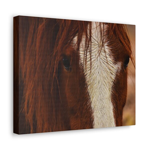 Soulful Encounter - Image 9