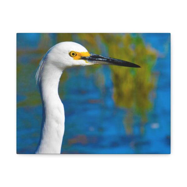 Crane - Image 8