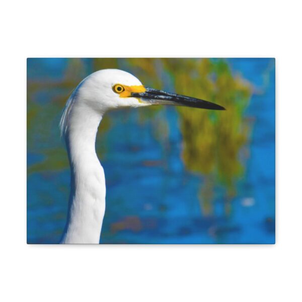 Crane - Image 15