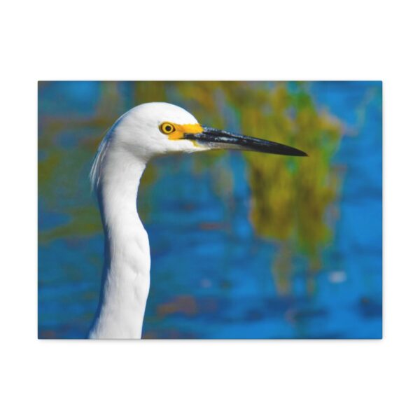 Crane - Image 22