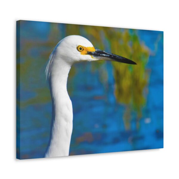 Crane - Image 23