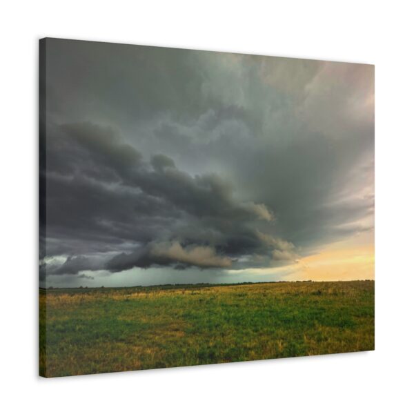 Dark and Light - Image 30