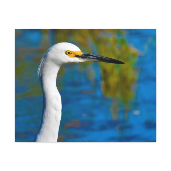 Crane - Image 29