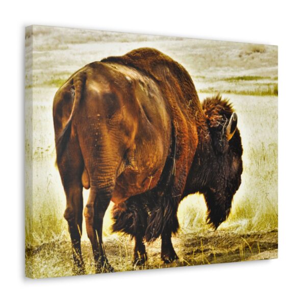Enduring Spirit - Image 21