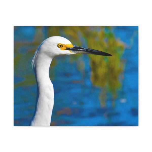 Crane - Image 36