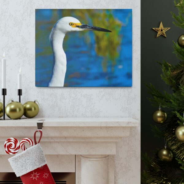 Crane - Image 41