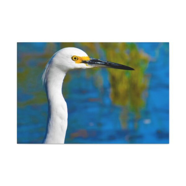 Crane - Image 43