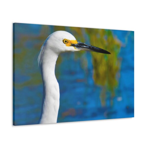 Crane - Image 44