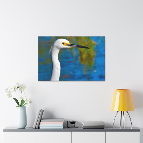 Crane - Image 46