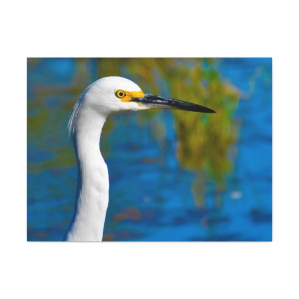 Crane