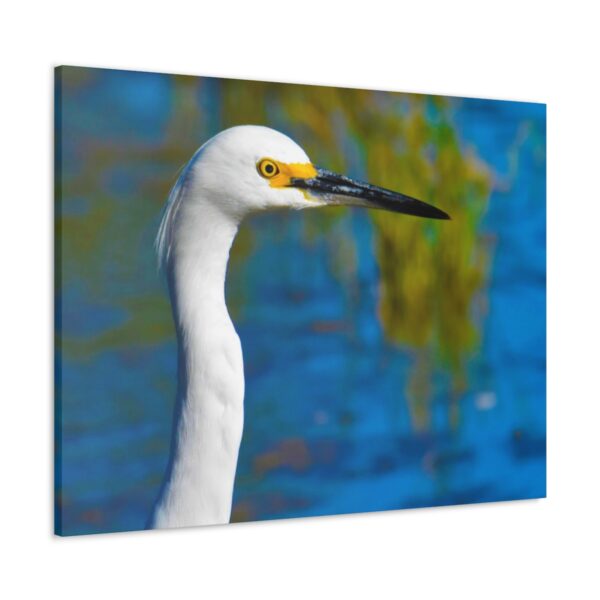 Crane - Image 2