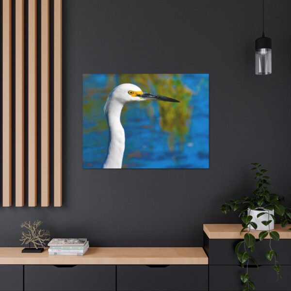 Crane - Image 5