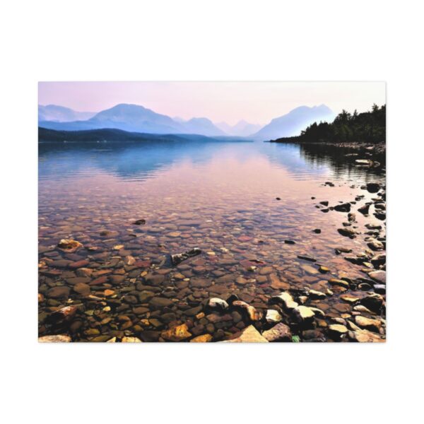 Quiet Reflections
