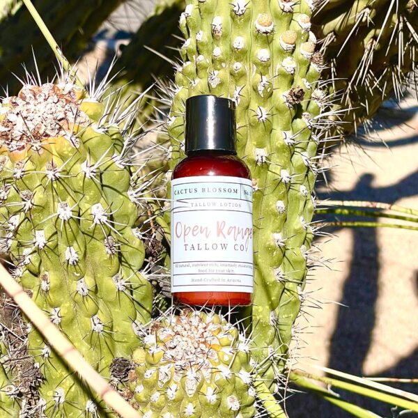 Cactus Blossom Tallow Lotion - Image 3