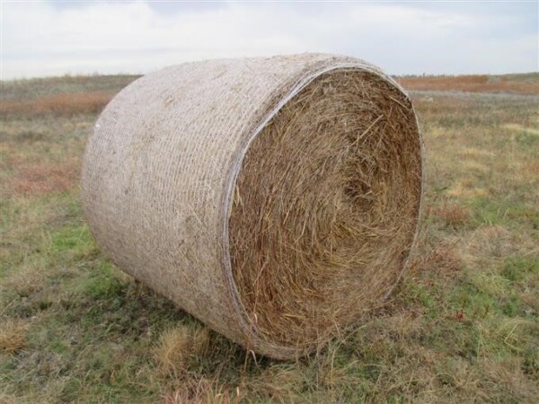 Grass Hay