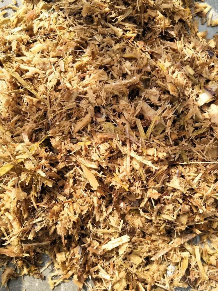 Cane Silage